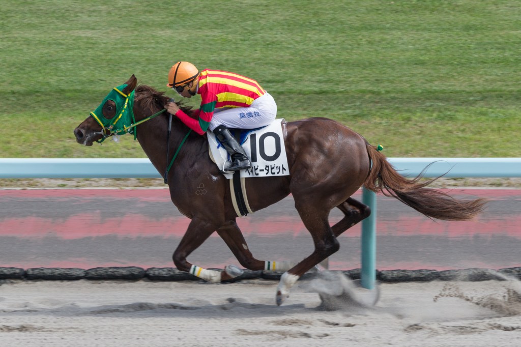Belmont Stakes 2023: Post position, horse lineup, morning line odds