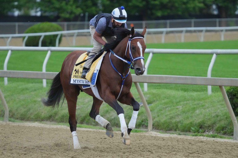 2024 Preakness Stakes Betting Preview on DK Horse