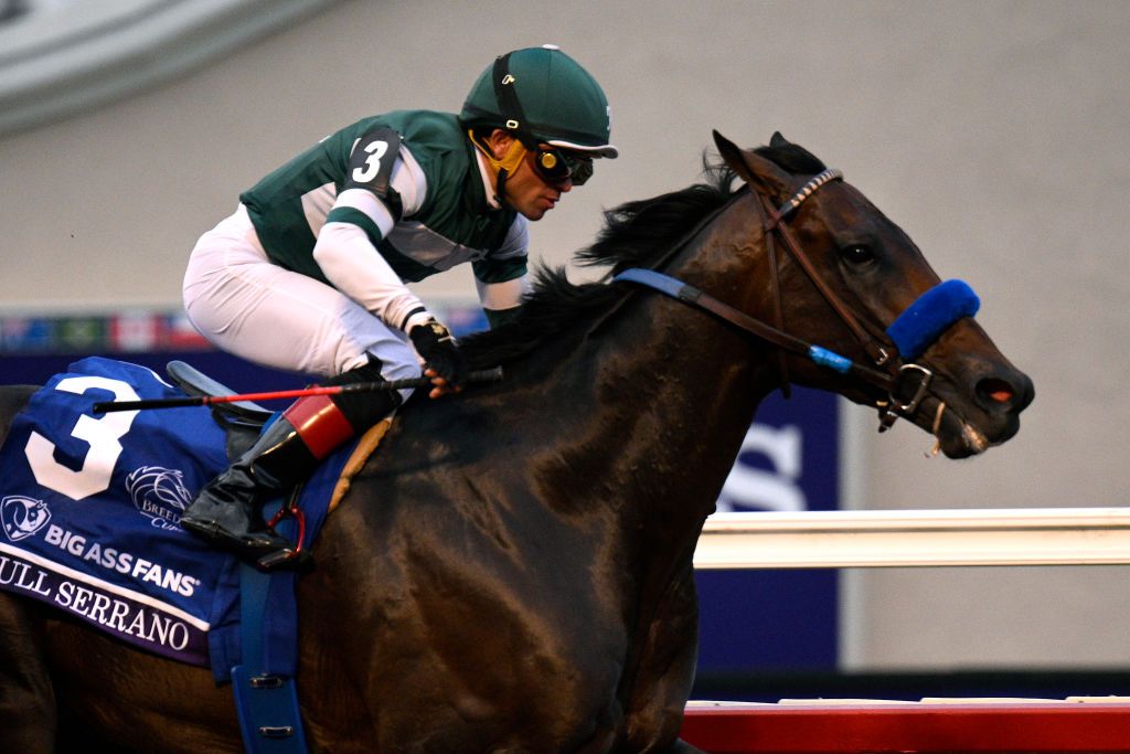 2026 Pacific Classic horses, odds