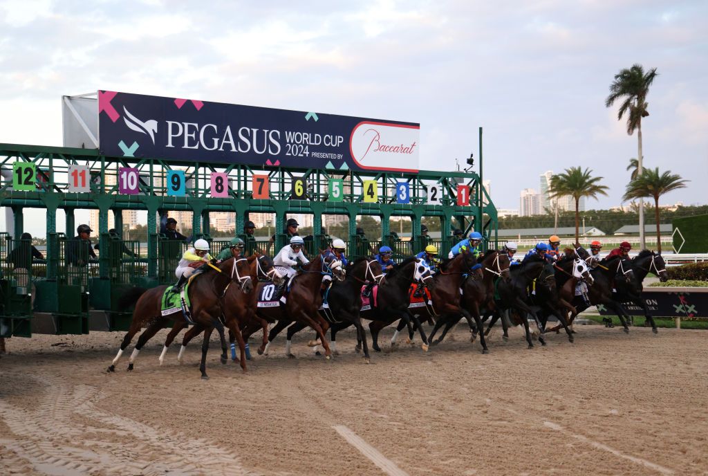 2026 Pegasus World Cup results: winner, finish order