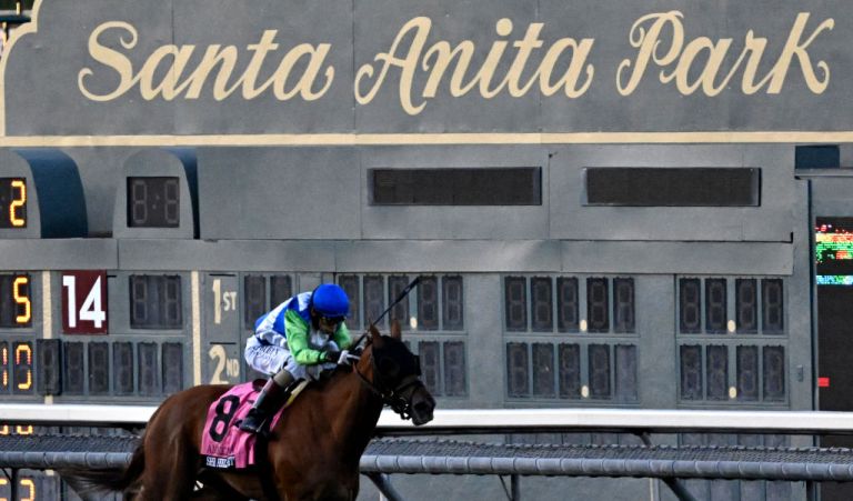 Watch the full race video of Intrepido’s win in 2025 American Pharoah Stakes