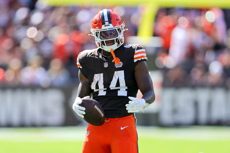 What happened to Harold Fannin Jr.? Live injury updates for Steelers at Browns on Sunday 12/28/25