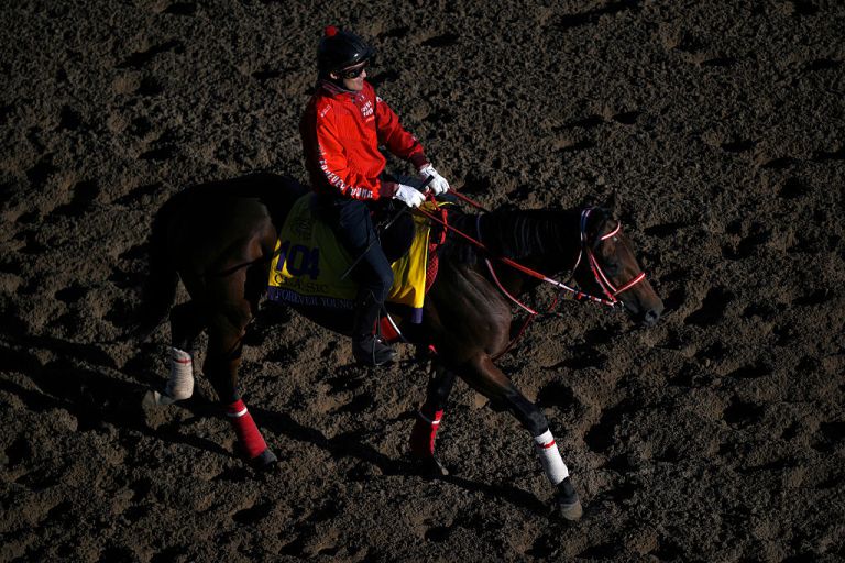 Watch the full race video of Forever Young’s win in 2025 Breeders’ Cup Classic