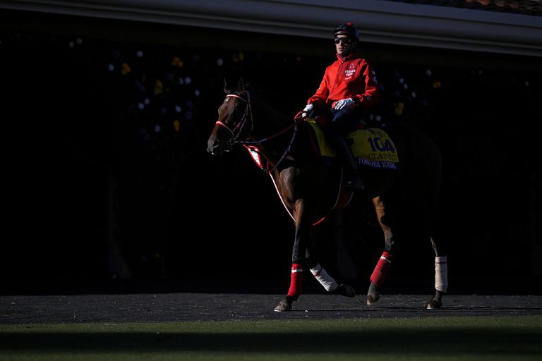 Who is favored to win the 2025 Breeders’ Cup Classic? Full odds, horses