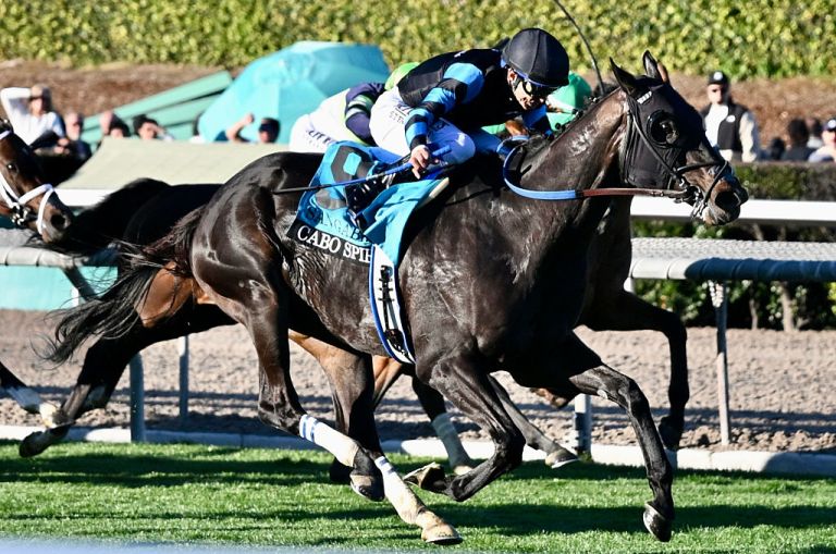 2026 DK Horse San Felipe Stakes Picks: Top Horse Racing Betting Picks on DK Horse