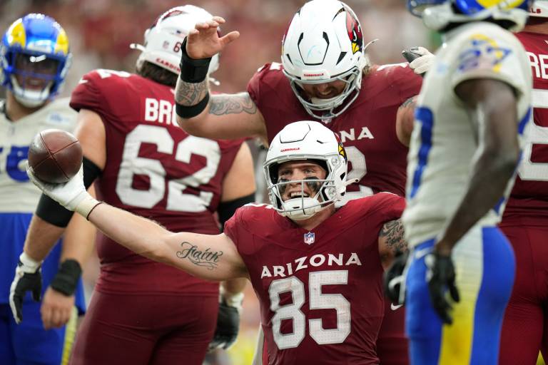 NFL Week 13 DraftKings Fantasy Football PPR Rankings: Tight Ends