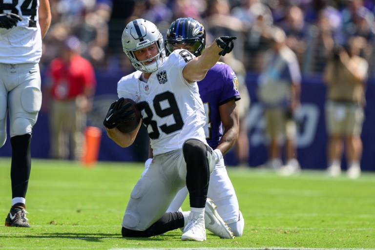 NFL Week 17 DraftKings Fantasy Football PPR Rankings: Tight Ends