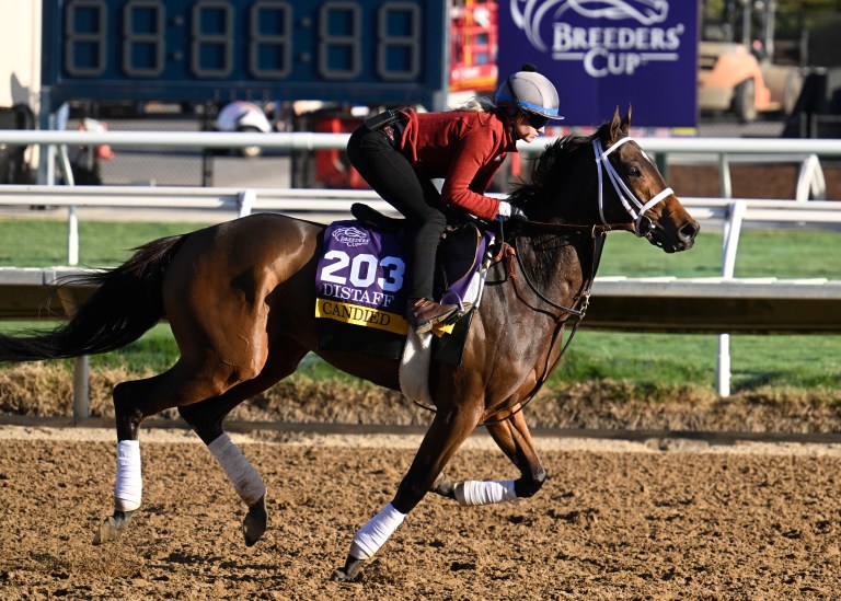 Breeders’ Cup Picks: Top Horse Racing Betting Picks for November 1 on DK Horse