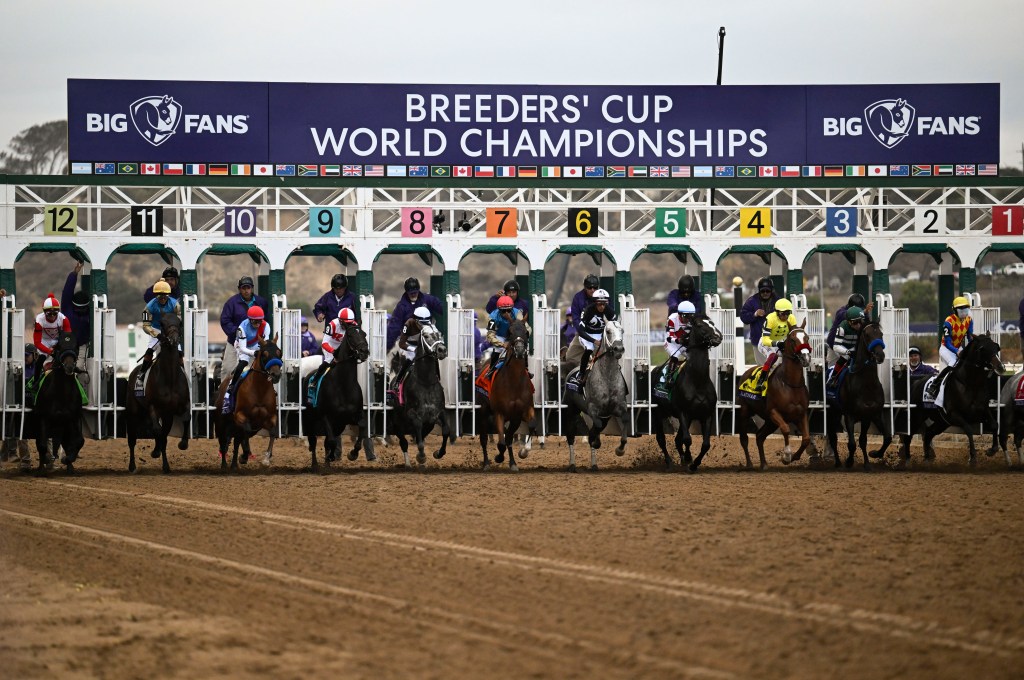 Kentucky Derby Final Prep Horse Racing Betting Preview on DK Horse