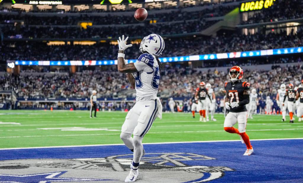 Is Mike Evans or CeeDee Lamb the better DFS play in Week 15?