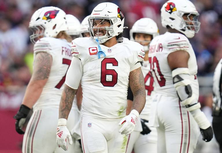Panthers vs. Cardinals Week 16 NFL Picks & Predictions on DraftKings Sportsbook