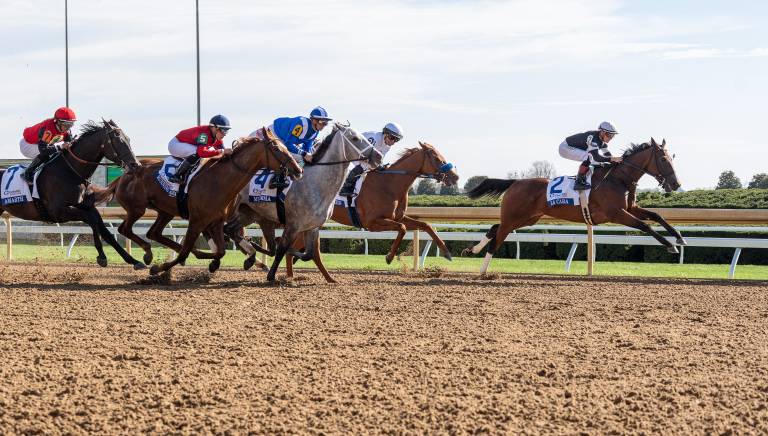 Lexington Stakes at Keeneland Horse Racing Betting Preview on DK Horse